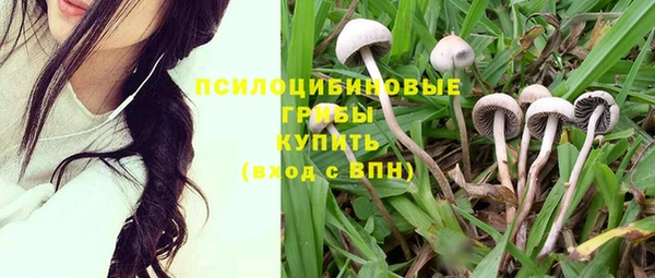 дживик Ладушкин