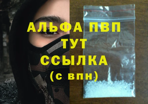 дживик Ладушкин