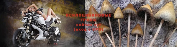 амфетамин Лихославль