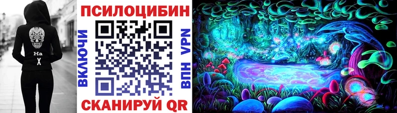 где продают darknet официальный сайт Псилоцибиновые грибы Psilocybine cubensis Тотьма